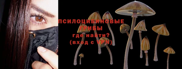 не бодяженный Богородицк
