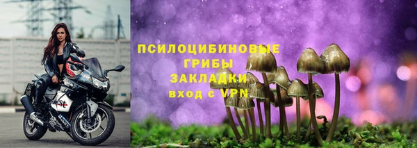 мет Богданович
