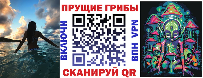 Псилоцибиновые грибы Psilocybine cubensis  наркошоп  мега ССЫЛКА  Ачхой-Мартан 