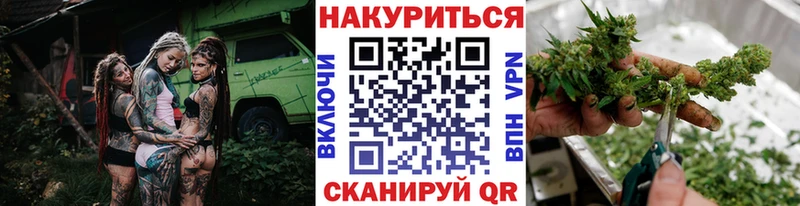 ОМГ ОМГ зеркало Ачхой-Мартан Бошки Шишки SATIVA & INDICA